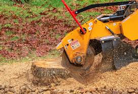 Best Tree and Shrub Care  in Niagara, WI