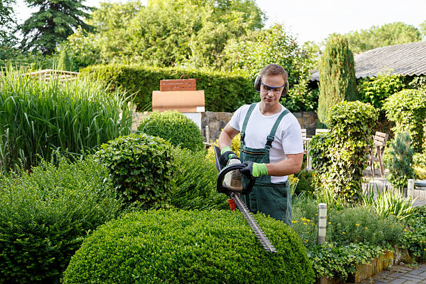 Best Hazardous Tree Removal  in Niagara, WI